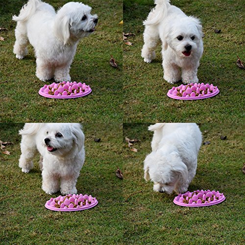 ZSL Dog Cat Pet Food Bowl Slow Feeder Feeding Dog Bowl Interactive Feed Bowl Bowl,Prevents bloat and canine obesity by lengthening mealtime - Image 6