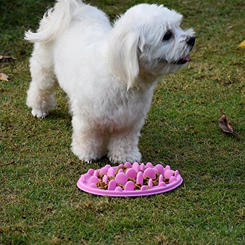 ZSL Dog Cat Pet Food Bowl Slow Feeder Feeding Dog Bowl Interactive Feed Bowl Bowl,Prevents bloat and canine obesity by lengthening mealtime - Image 7