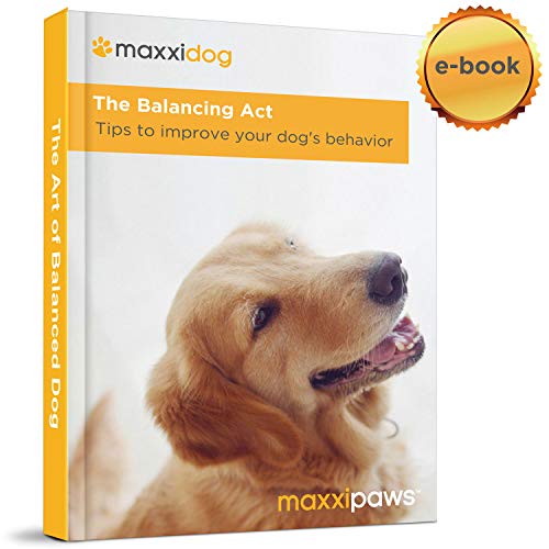 maxxipaws maxxicalm Natural Calming Supplement for Dogs - 120 Non-Drowsy Tablets - Image 3