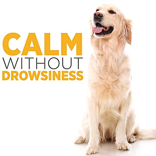 maxxipaws maxxicalm Natural Calming Supplement for Dogs - 120 Non-Drowsy Tablets - Image 4