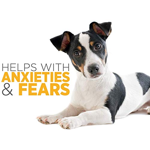 maxxipaws maxxicalm Natural Calming Supplement for Dogs - 120 Non-Drowsy Tablets - Image 5