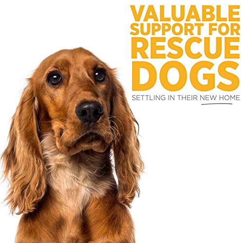 maxxipaws maxxicalm Natural Calming Supplement for Dogs - 120 Non-Drowsy Tablets - Image 6