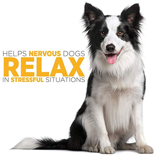 maxxipaws maxxicalm Natural Calming Supplement for Dogs - 120 Non-Drowsy Tablets - Image 8