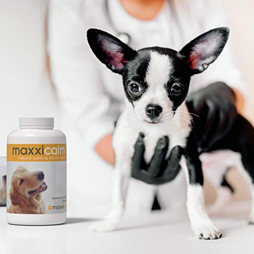 maxxipaws maxxicalm Natural Calming Supplement for Dogs - 120 Non-Drowsy Tablets - Image 9