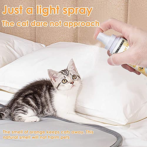 pecute Double Sided Pet Grooming Brush - 2 in 1 Pin & Bristle Soft Brush - Daily Use to Clean Loose Fur & Dirt - Great for Dogs and Cats With Short Medium Long Hair - Image 5