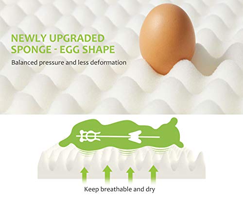 pecute Orthopedic Sofa Bed (XL 101 * 66 * 20 cm), Egg Crate Memory Foam Pet Couch Beds with 3 Sides Bolster for Good Support, Removable Washable Cover, Non Slip Base, Ideal for Medium Large Dogs - Image 6