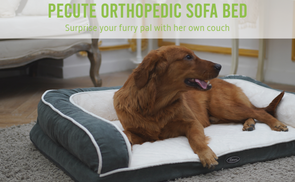 pecute Orthopedic Sofa Bed (XL 101 * 66 * 20 cm), Egg Crate Memory Foam Pet Couch Beds with 3 Sides Bolster for Good Support, Removable Washable Cover, Non Slip Base, Ideal for Medium Large Dogs - Image 8