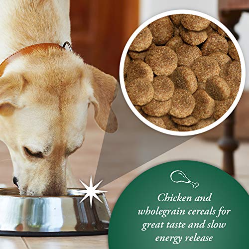 Arkwrights Chicken Dry Dog Food 15 Kg - Image 4