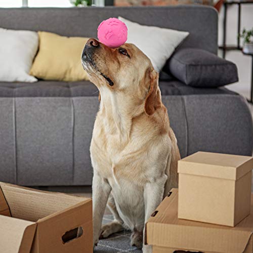 Balacoo Puppy Dog Chew Ball Toys Durable Rubber Teeth Cleaning Squeaky Balls Toy Set for Small Medium Dogs 6Pcs Random Color - Image 7