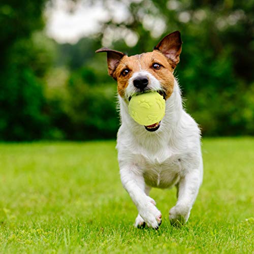 Balacoo Puppy Dog Chew Ball Toys Durable Rubber Teeth Cleaning Squeaky Balls Toy Set for Small Medium Dogs 6Pcs Random Color - Image 9