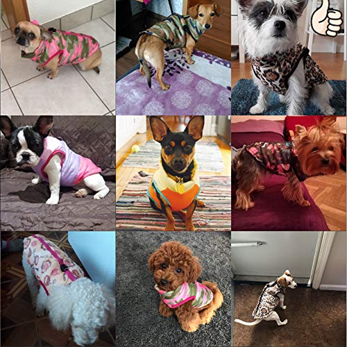 Balai Pet Cat Dog Apparel Soft Padded Vest Harness Puppy Small Dog Coat Clothes - Image 3