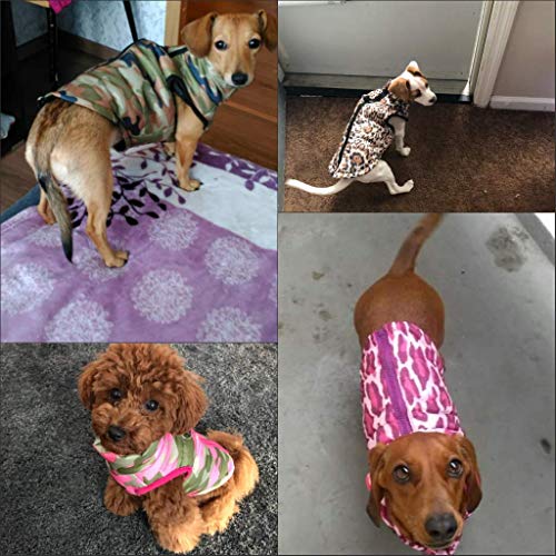 Balai Pet Cat Dog Apparel Soft Padded Vest Harness Puppy Small Dog Coat Clothes - Image 9