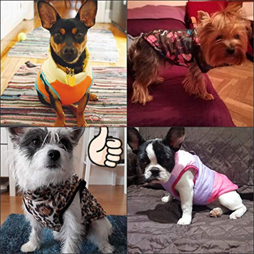 Balai Pet Cat Dog Apparel Soft Padded Vest Harness Puppy Small Dog Coat Clothes - Image 10