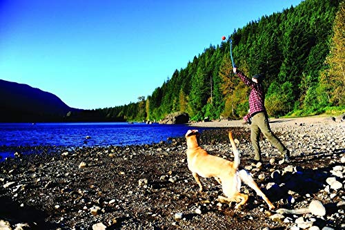 Chuckit Sport 14 Ball Thrower Dog Toy Random Colour Size S - Image 7