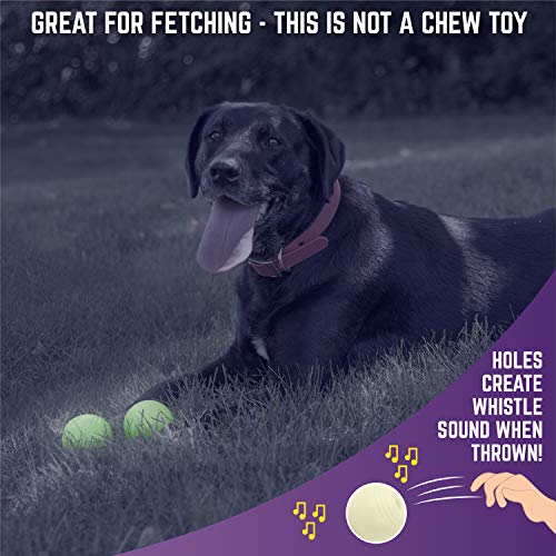 Chew King Ball, 2 Piece Glowing Fetch Ball, Dog Ball Toys, Fits Ball Launcher - Image 4