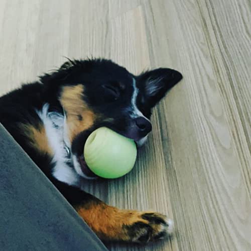 Chew King Ball, 2 Piece Glowing Fetch Ball, Dog Ball Toys, Fits Ball Launcher - Image 10