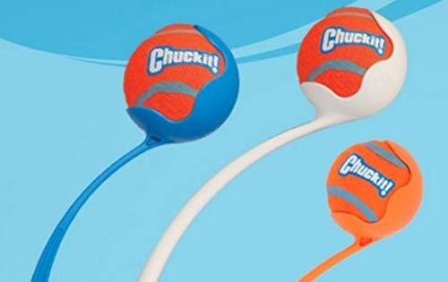Chuckit! Tennis Balls for Dogs Durable Launcher Compatible Dog Ball Toy - Image 7