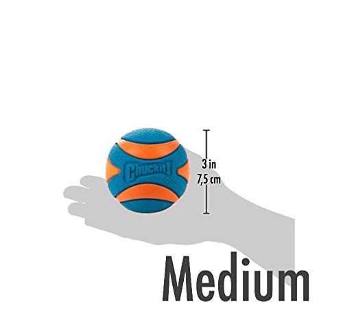 ChuckIt! Ultra Squeaker Ball Dog Toy, Durable High Bounce Floating Rubber Squeaky Dog Ball, Launcher Compatible Toy For Dogs, 2 Pack, Medium - Image 7