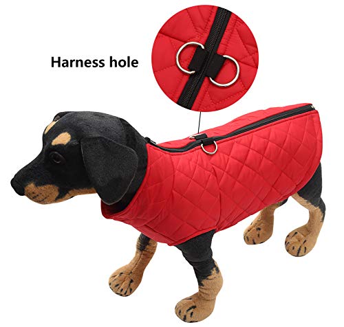 Ctomche Pet Coat,Dog Winter Warm Coat with Zipper,Cold Weather Jacket for Dog,Dog Coat Waterproof Dog Jacket Windproof Cozy Dog Vest Red-M - Image 4