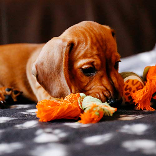 DIGIFLEX Large Pet Blankets x3 Dog Cat Soft Fleece 70cm X 100cm - Washable Soft Fleece Dog/Cat Throw Blanket - Paw Print Design – Bedding for a Puppy & Kitten - Image 7