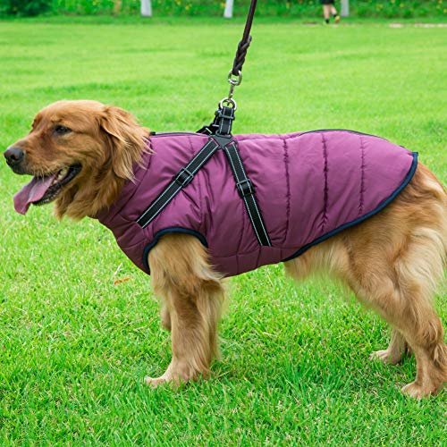 Dog Coat With Durable Harness Chest Strap Waterproof 2 In 1 Pet Autumn Winter Jacket Skiing Costume Sleeveless Cotton Padded Vest For Small Medium Large Dogs (XXL, Purple) - Image 5