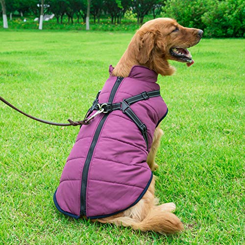 Dog Coat With Durable Harness Chest Strap Waterproof 2 In 1 Pet Autumn Winter Jacket Skiing Costume Sleeveless Cotton Padded Vest For Small Medium Large Dogs (XXL, Purple) - Image 6