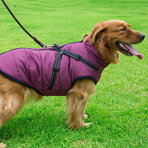 Dog Coat With Durable Harness Chest Strap Waterproof 2 In 1 Pet Autumn Winter Jacket Skiing Costume Sleeveless Cotton Padded Vest For Small Medium Large Dogs (XXL, Purple) - Image 7