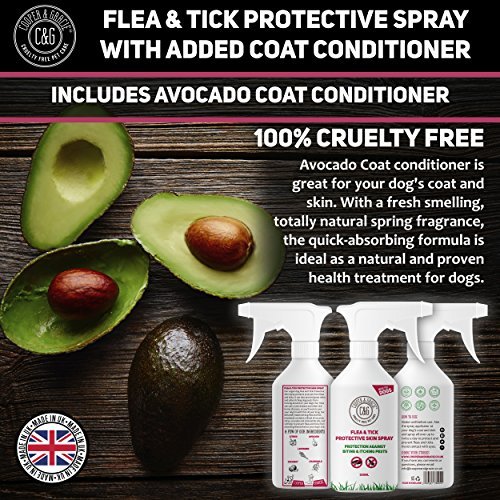 Dog Fleas Protection Spray - Tick and Flea Treatments for Dogs - Best Grooming Coat Conditioner - Image 4