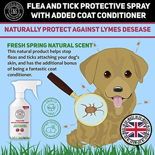 Dog Fleas Protection Spray - Tick and Flea Treatments for Dogs - Best Grooming Coat Conditioner - Image 5