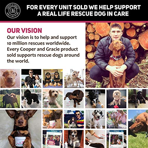 Dog Fleas Protection Spray - Tick and Flea Treatments for Dogs - Best Grooming Coat Conditioner - Image 10