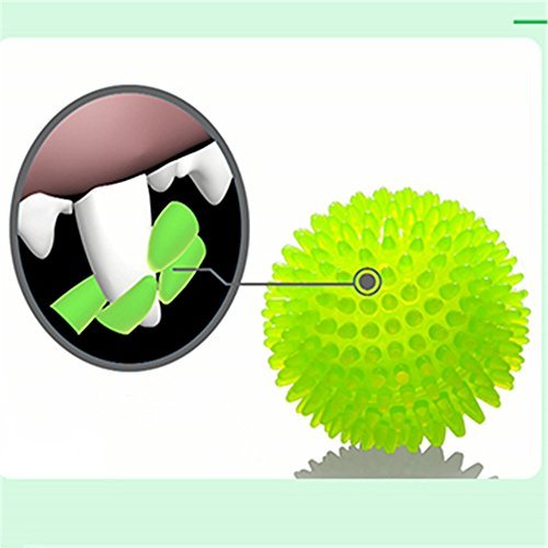 EEToys Hunde Ball Hundespielzeug Kauen Spielzeug Quietscher Ball Kauspielzeug Spiky Ball Massage Ball Zähne Reinigung Ungiftig - Image 4