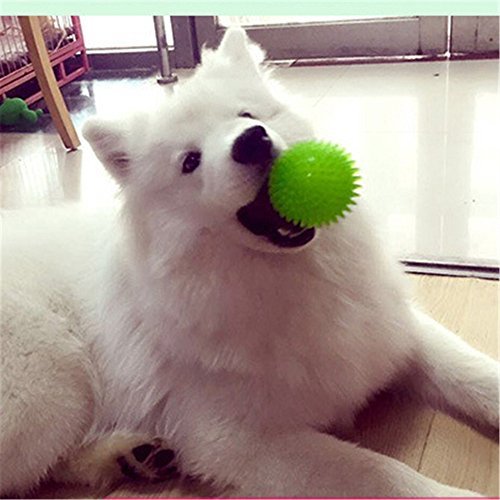 EEToys Hunde Ball Hundespielzeug Kauen Spielzeug Quietscher Ball Kauspielzeug Spiky Ball Massage Ball Zähne Reinigung Ungiftig - Image 6