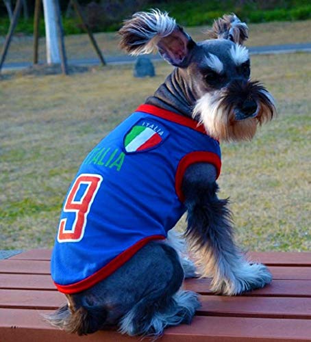 EVRYLON Fan costume for animals team soccer microbist ultrà italia dog s - Image 6
