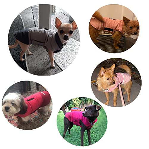 Geyecete dog coats waterproof with harness hole - Windproof Snowsuit puppy coats for small dogs Dog Clothes Outfit Vest Pets-Blue-L - Image 7