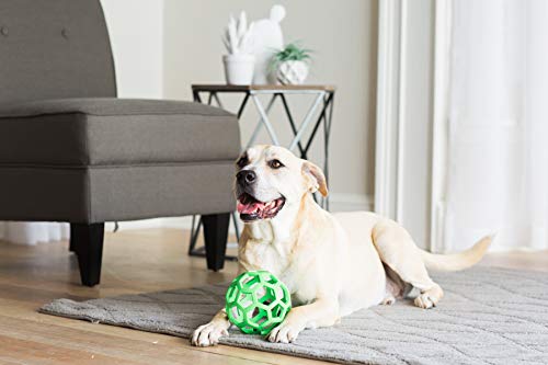 JW Pets JW43112 Hol-ee Roller Large, Assorted Color - Image 9