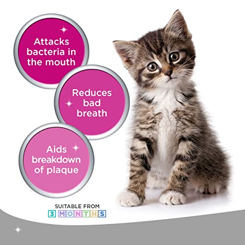 Logic Oral Hygiene Gel for Cats and Dogs, 70 g with Finger Toothbrush, 1 Count ( Pack of 1) - Image 5