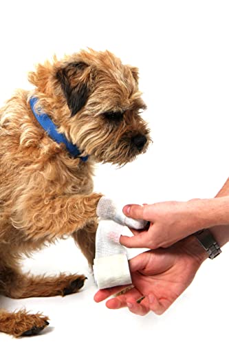 Mountain Paws Dog First Aid Kit - Compact Size, Easy to Carry on Walks, for Home, Outdoor or Travel - Image 7