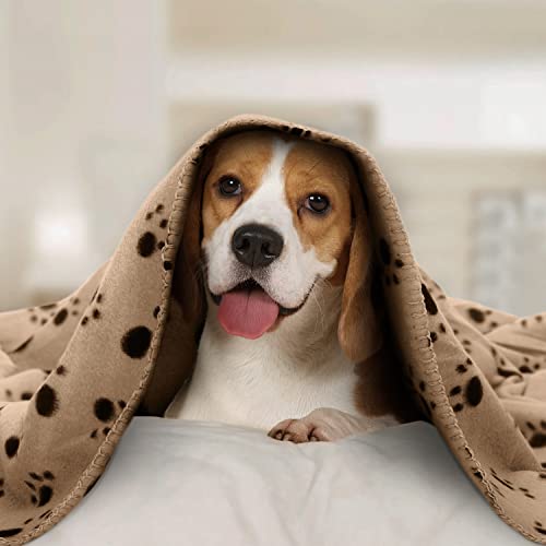 Nobleza - 6 x Dog Blanket Cat Cushion Puppy Kitten Sleep Pad Mat Pet Bed Cover Washable Warm Soft Fluffy Fleece Blankets Beige 75 * 75cm - Image 3