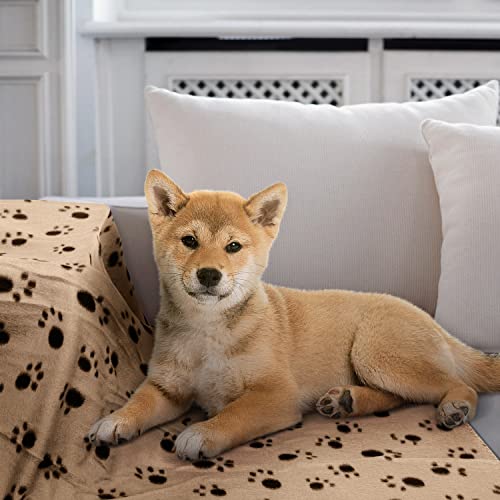 Nobleza - 6 x Dog Blanket Cat Cushion Puppy Kitten Sleep Pad Mat Pet Bed Cover Washable Warm Soft Fluffy Fleece Blankets Beige 75 * 75cm - Image 7