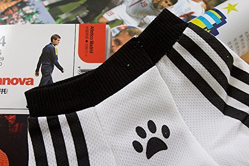 PAWZ Road 2014 Soccer World Cup Pet Football T-shirt Dog Sweater Sport Jersey for Germany Deutschland - Image 4