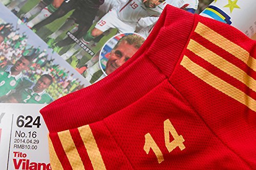 PAWZ Road 2014 Soccer World Cup Pet Football T-shirt Dog Sweater Sport Jersey for Spain - Image 4