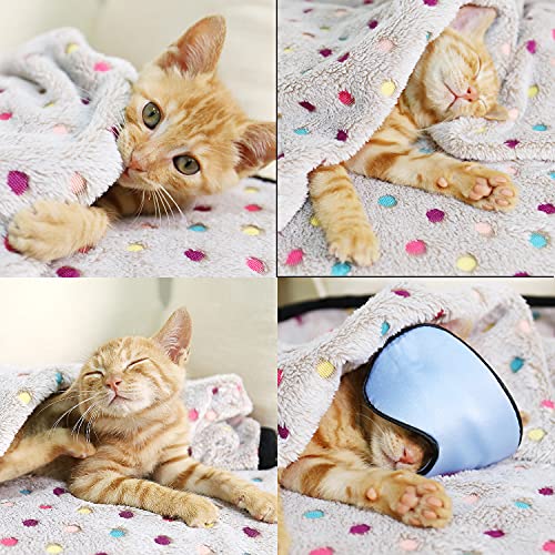 PAWZ Road Pet Dog Blanket Fluffy Fleece Fabric Soft and Cute Warm Dot Print Blanket Washable for Cats and Dogs - Image 3