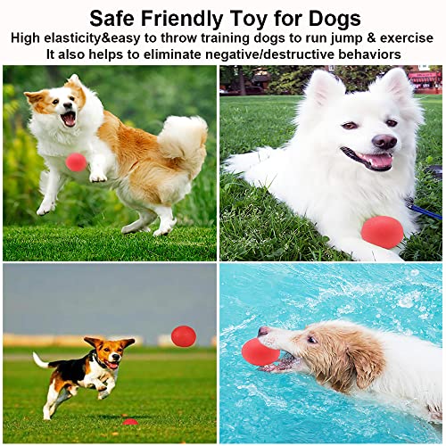Panlom 3 Pack Dog Balls Indestructible - 100% Natural Rubber Bouncy Dog Ball Non-Toxic Tough Chew Toy for Small to Medium Dog - Image 7
