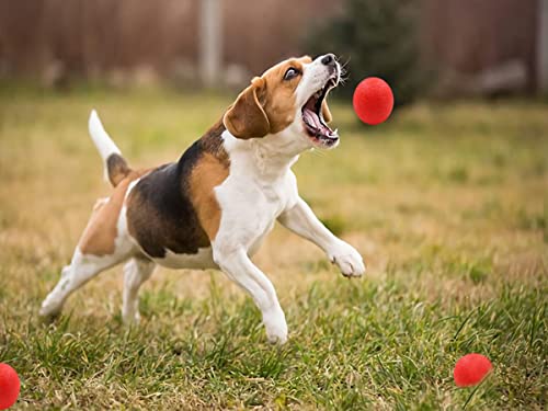 Panlom 3 Pack Dog Balls Indestructible - 100% Natural Rubber Bouncy Dog Ball Non-Toxic Tough Chew Toy for Small to Medium Dog - Image 9