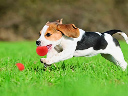 Panlom 3 Pack Dog Balls Indestructible - 100% Natural Rubber Bouncy Dog Ball Non-Toxic Tough Chew Toy for Small to Medium Dog - Image 10