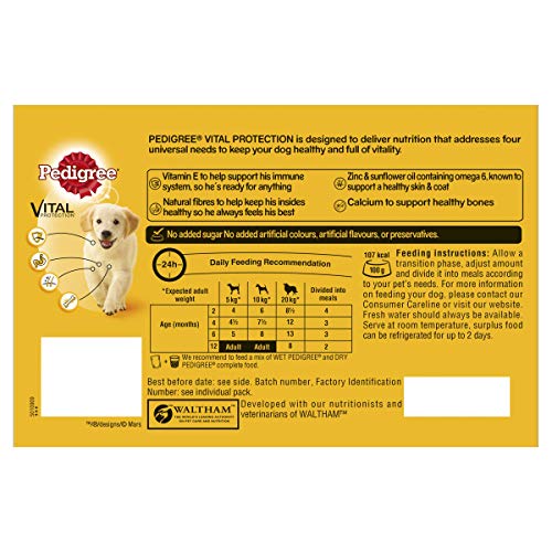Pedigree Junior, Wet Food for Young Dogs and Puppies, Mixed in Jelly, 24 x 100 g - Image 3
