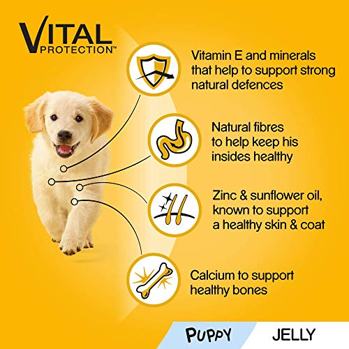 Pedigree Junior, Wet Food for Young Dogs and Puppies, Mixed in Jelly, 24 x 100 g - Image 4