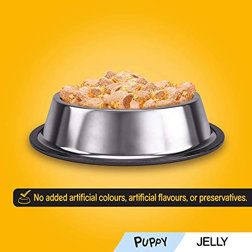 Pedigree Junior, Wet Food for Young Dogs and Puppies, Mixed in Jelly, 24 x 100 g - Image 7