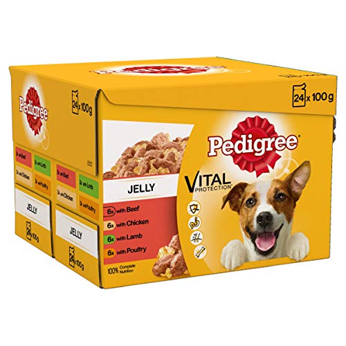 Pedigree Wet Dog Food for Adult Dogs 1+, 24 x 100g - Image 2