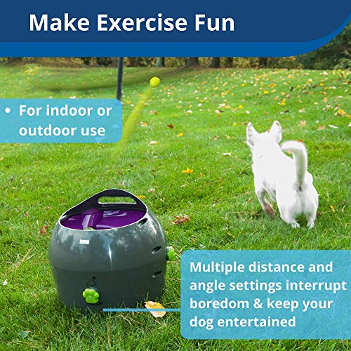 PetSafe Automatic Dog Toy, Interactive Tennis Ball Launcher for Dogs, Water Resistant, 1 Pack - Image 3